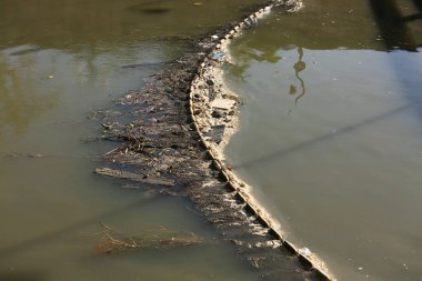 Suda yüzen çöplerle dolu bir gölet