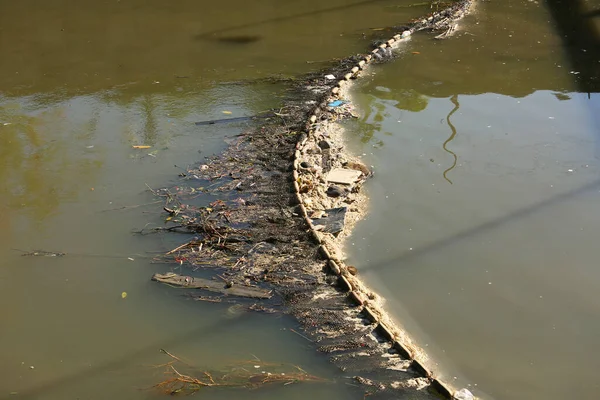 Teich Mit Wasser Schwimmendem Müll — Stockfoto