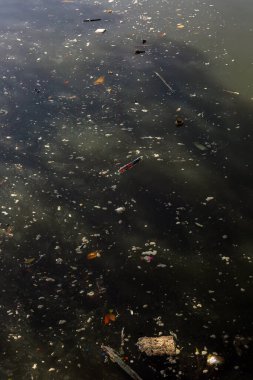 Suda yüzen çöplerle dolu bir gölet