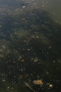 Suda yüzen çöplerle dolu bir gölet