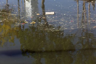 Suda yüzen çöplerle dolu bir gölet