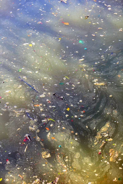 Teich Mit Wasser Schwimmendem Müll — Stockfoto