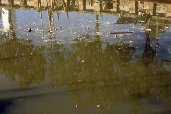 Pond Garbage Floating Water — Stock Photo, Image