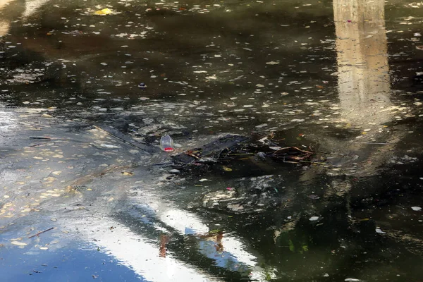 pond with garbage floating in water