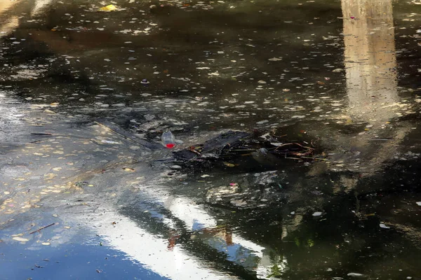 Teich Mit Wasser Schwimmendem Müll — Stockfoto