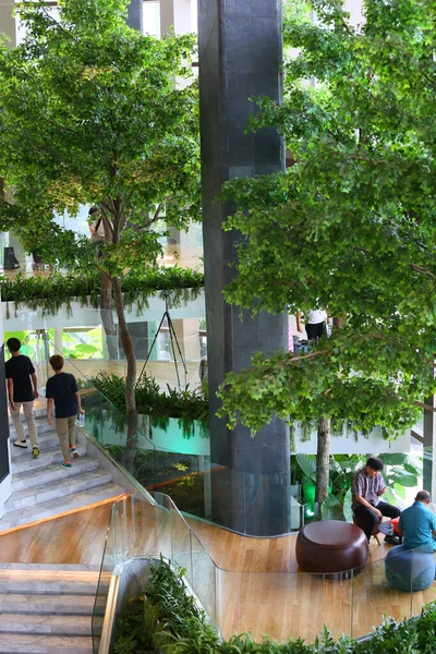 people and green plants in modern building in the city
