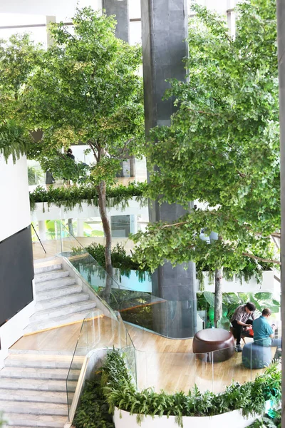 people and green plants in modern building in the city