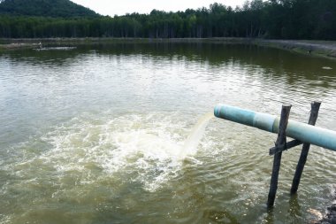 Nehirdeki su boruları