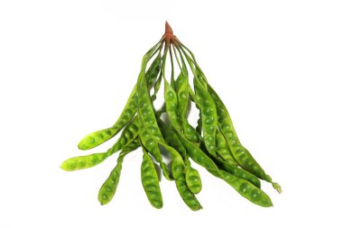 Beyaz arkaplanda yeşil bezelyeler 