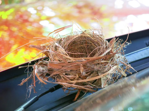 Close View Empty Bird Nest — Stock Fotó