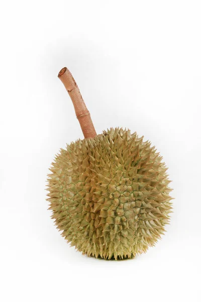 Fresh Tropical Durian Fruits White Background — Stockfoto