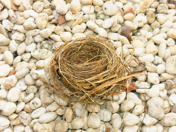 Close View Empty Bird Nest — Stockfoto