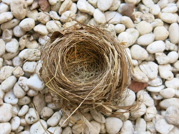 Close View Empty Bird Nest — 图库照片