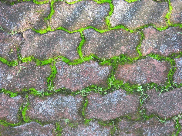 Texture Stone Wall Cracks Moss — Stock Photo, Image