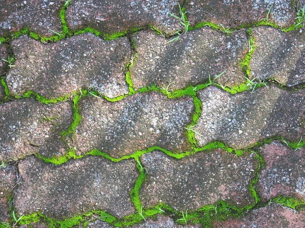 Texture Stone Wall Cracks Moss — Stock Photo, Image