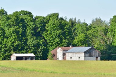 Çiftlik binaları alan ve ağaçlar