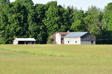 Çiftlik binaları ve ovalar ve ağaçlar