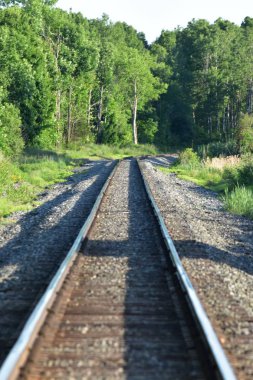 Orman ve kırsal tren rayları