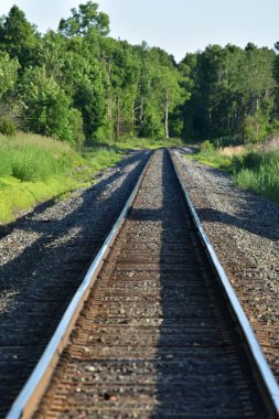 Kırsal tren rayları ve orman