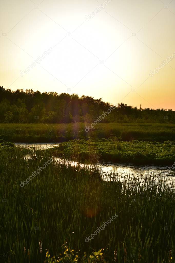 Sun And Marsh At Dusk Or Dawn