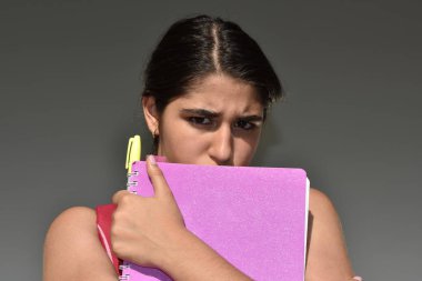 Korkunç bir kız öğrenci