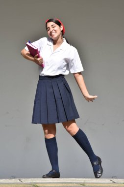 Etek giyen sevimli şirin kız öğrenci