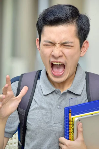 Een Stressvolle Mannelijke Student — Stockfoto