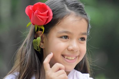 Güzel çeşitli ergen bir çiçek ile karar