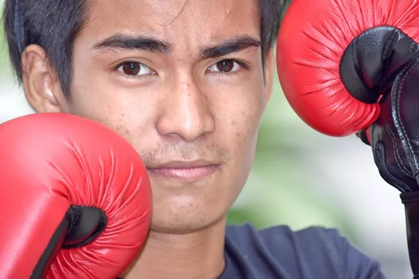 Serious Male Athlete Boxer Wearing Boxing Gloves — Stock Photo, Image