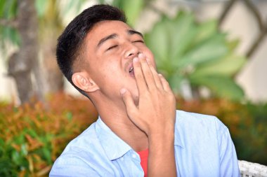 Yorgun azınlık erkek yavru