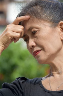 Eski Asya kadın üst düzey karar verme