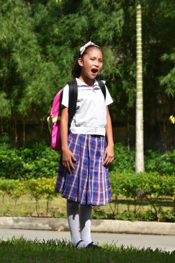 Dizüstü bilgisayarlar ile üniforma giyen genç farklı kız öğrenci şaşırttı