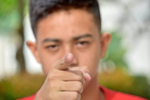 Een Divers Juvenile Wijzen — Stockfoto