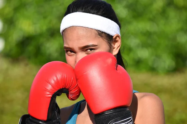 Fitness Asian Boxer Looking — Stock Photo, Image