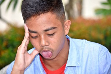 Çeşitli Boy ve hastalık