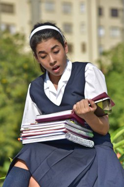 Dizüstü bilgisayarlar ile okul kız okuma