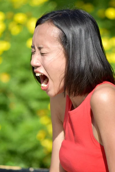 Gestresste Junge Philippinische Hündin — Stockfoto