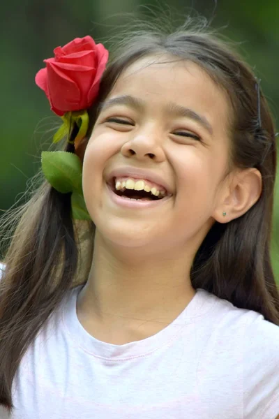 Ятнадцять Сміх Трояндою — стокове фото
