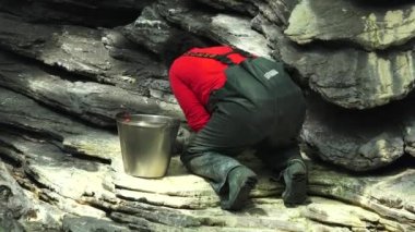 Vahşi Yaşam Besleme Kariyeri Gönüllüsü