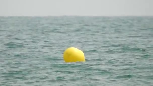 Boa di acqua gialla nell'oceano — Video Stock