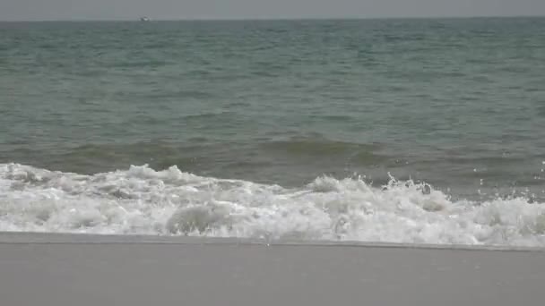 Ondas do Oceano e Praia — Vídeo de Stock