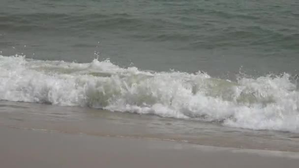 Fale na plaży oceanu — Wideo stockowe