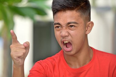 Çeşitli genç ve öfke