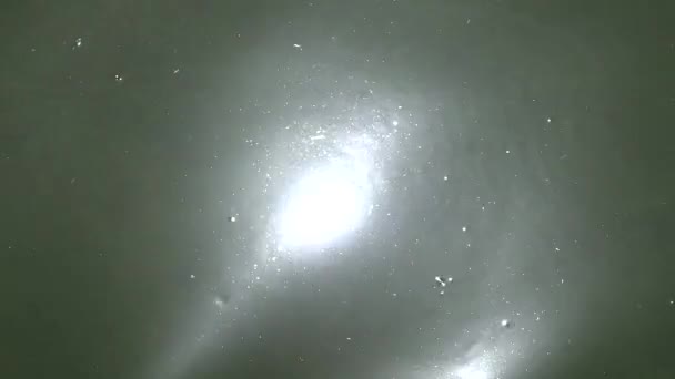 Lichten weerkaatsen in water — Stockvideo