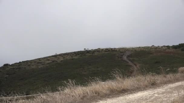 Rüzgarlı tepe ve sis veya Smog — Stok video