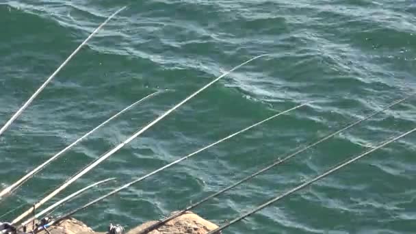 Cañas de pescar y agua — Vídeos de Stock
