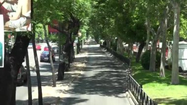 Ağaçlar ve Şehir Şeridi