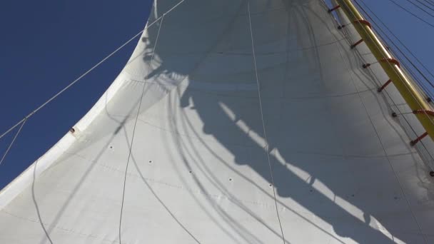 Segelboot Segel und Wind — Stockvideo