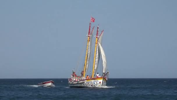 Velero de vela en el océano — Vídeo de stock