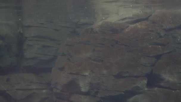 Podvodní skalní útvar — Stock video